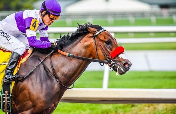 Congratulations to 142nd Kentucky Derby Winner Nyquist!
#kentuckyderby 
#nyquist 
#mintjulep